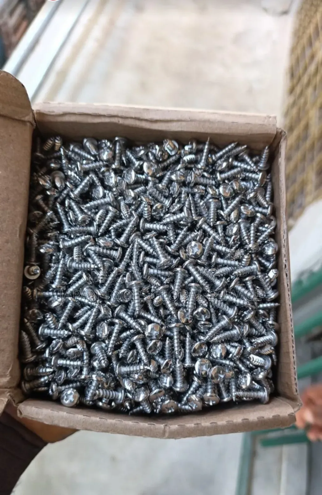 Stainless Screws