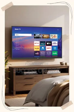 Television