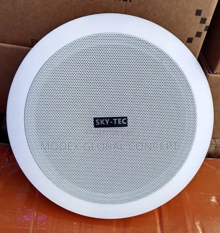 80w Sky-Tec Ceiling Speaker