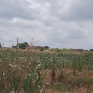 Plots of Land at Omoluabi Estate, Along Ikirun Road, Osogbo