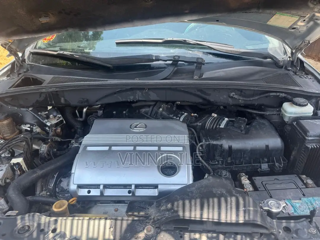 Lexus RX 330 2004 Silver