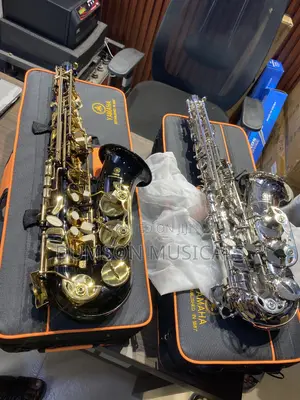 Yamaha Alto Saxophone Gold Saxophones and Silver Saxophone