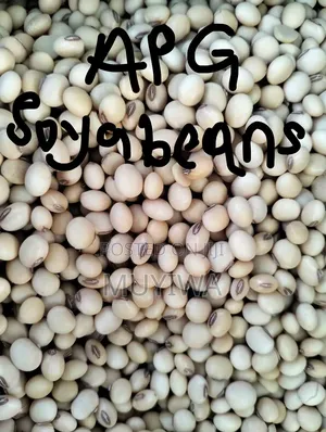 Natural Soybeans, Reach the Seller on What'sup Only