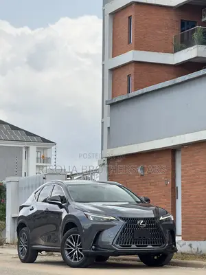 Lexus NX 2022 Black