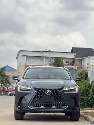 Lexus NX 2022 Black