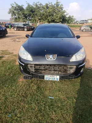 Peugeot 407 2007 Blue