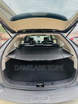 Lexus RX 2008 Gray