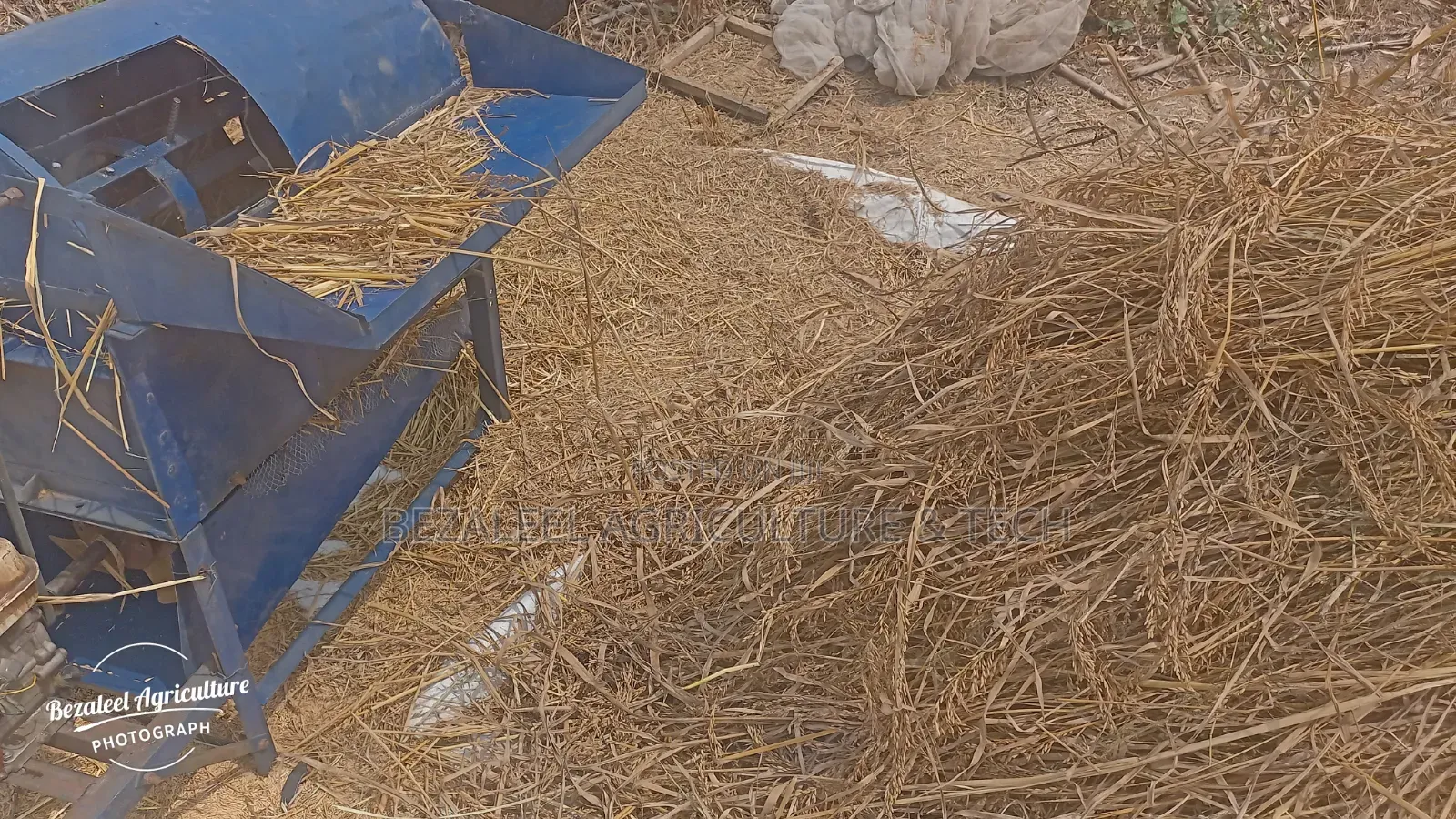 Rice Threshing Machine