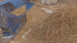 Rice Threshing Machine