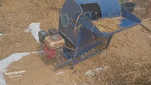 Rice Threshing Machine