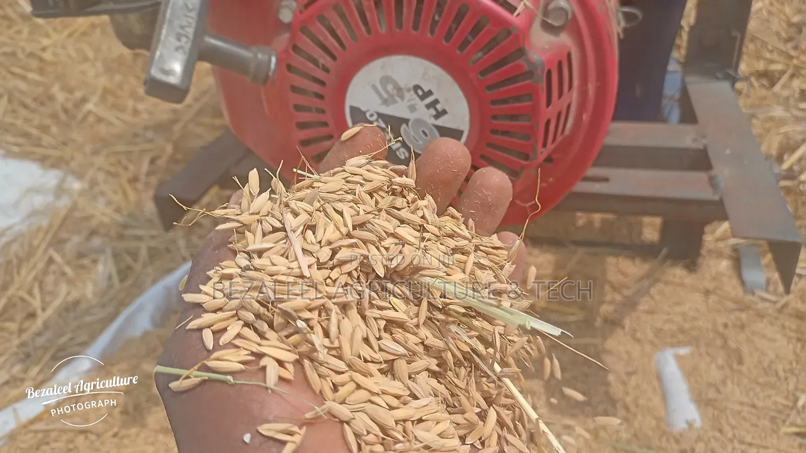 Rice Threshing Machine