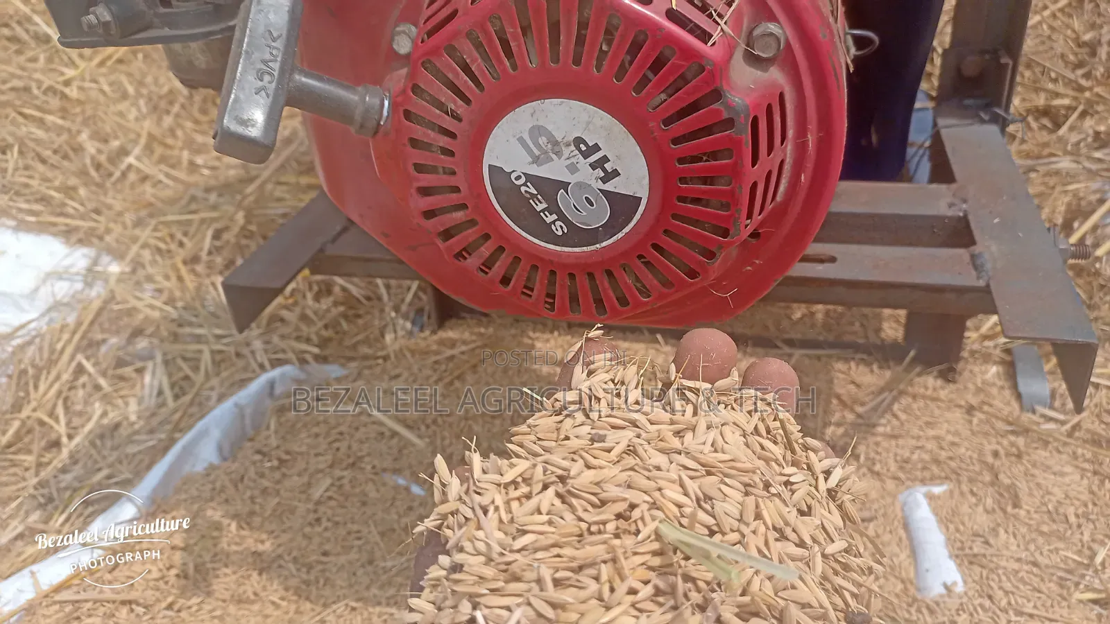 Rice Threshing Machine