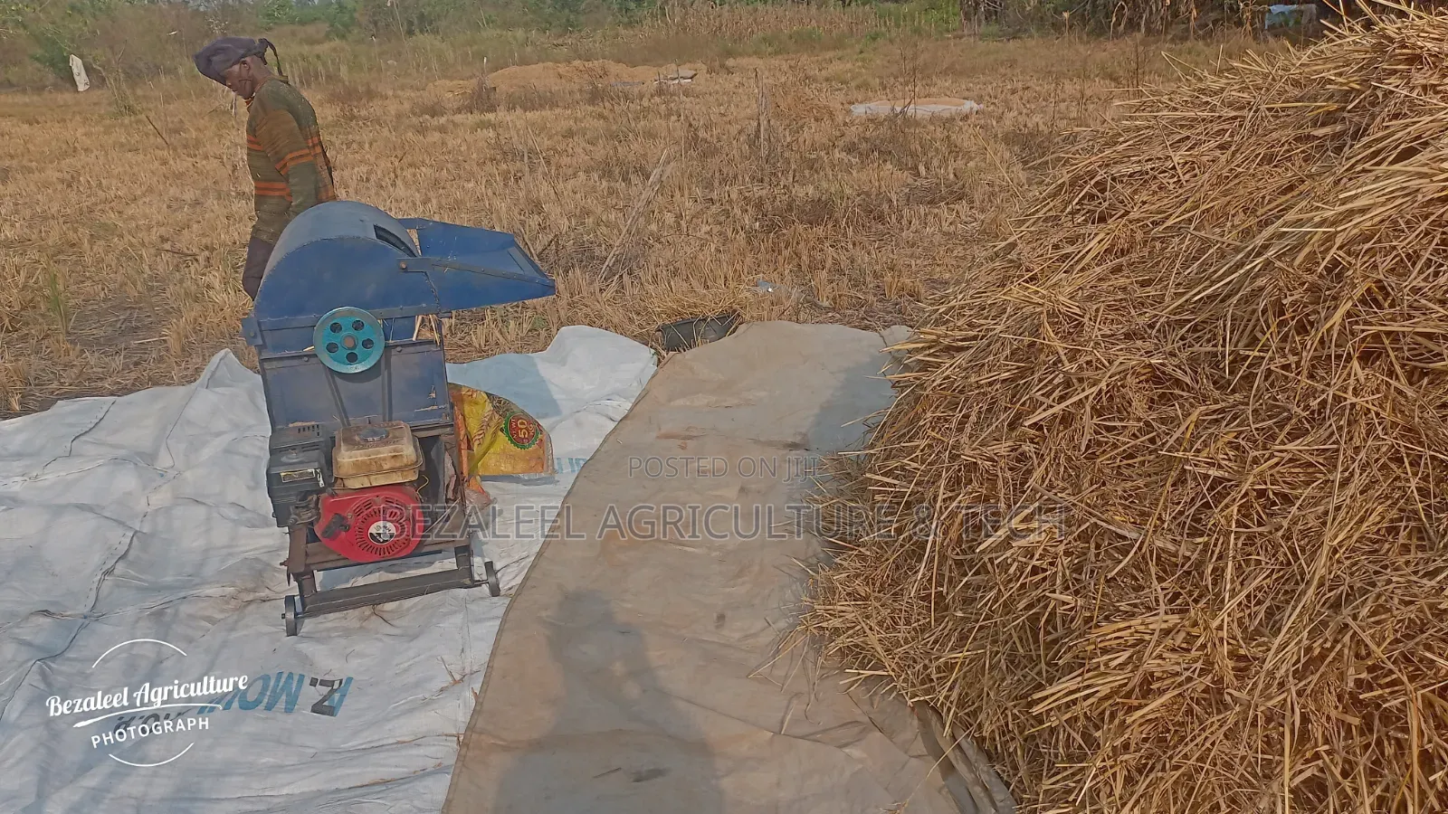 Rice Threshing Machine