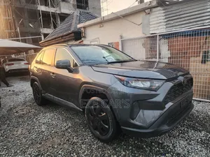 Toyota RAV4 LE 2021 Gray
