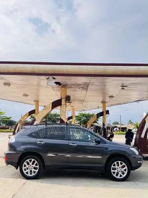 Lexus RX 350 AWD 2009 Gray