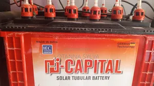 Inverter Battery