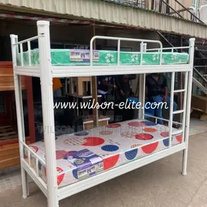 Bunk Bed With Ladder Imported