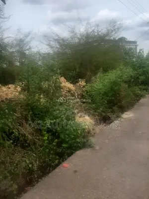 Empty Plot