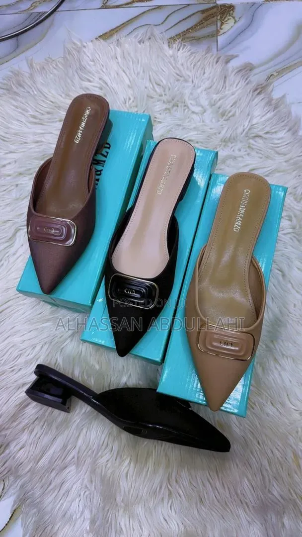 Anything Wears