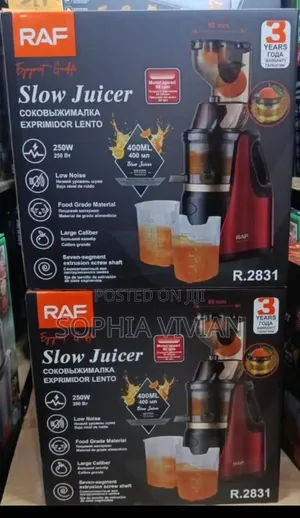 Raf Slow Juicer (Model R.2831)