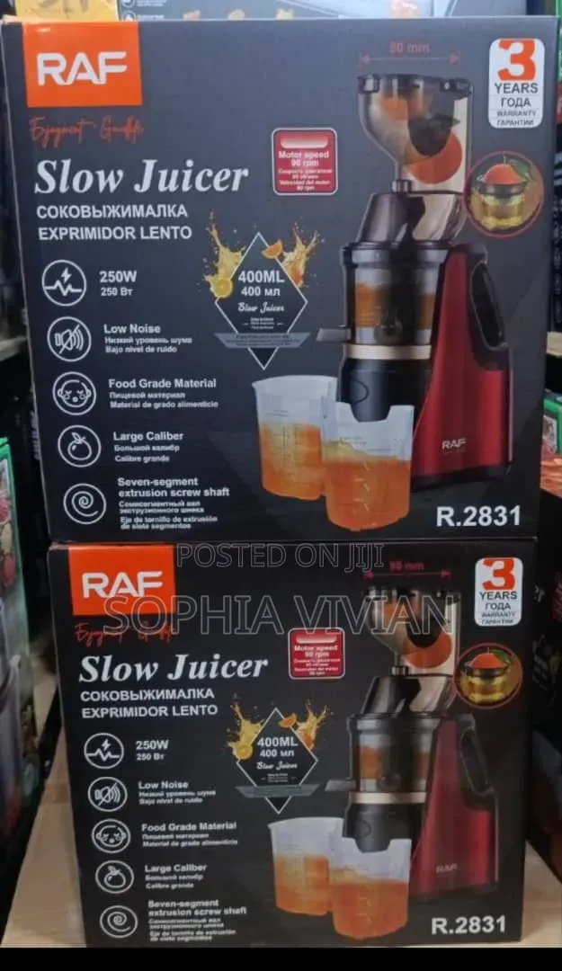 Raf Slow Juicer (Model R.2831)
