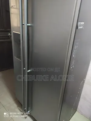 Samsung Double, Side by Side Fridge