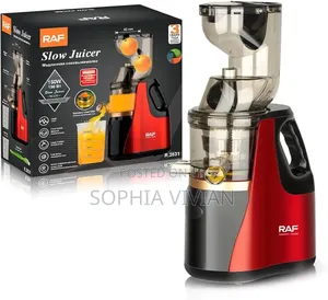 Raf Slow Juicer (Model R.2831)