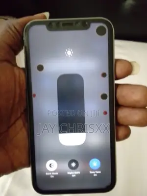 Apple iPhone 11 64 GB Green