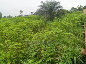 Plot Of Land For Sale