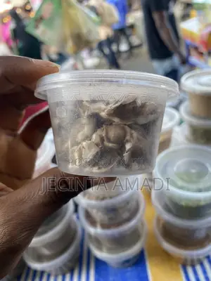 Organic Moringa Seeds 500g