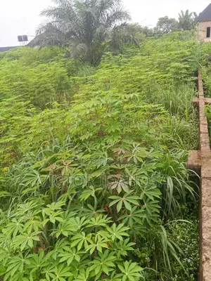 Plot Of Land For Sale