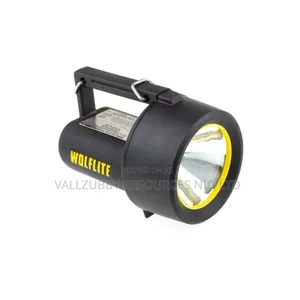Explosion Proof Touch Light