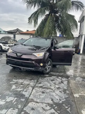 Toyota RAV4 XLE 4dr SUV AWD (2.5L 4cyl 6A) 2018 Burgundy