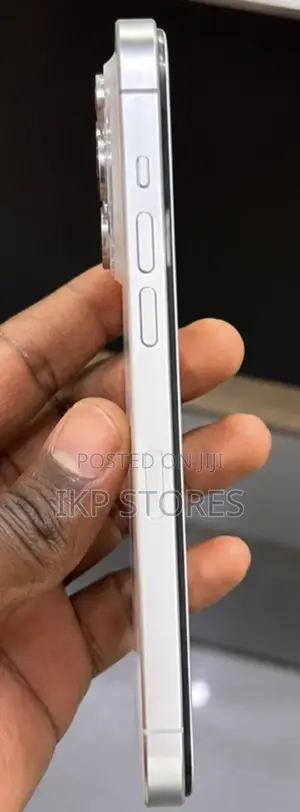 Apple iPhone 14 Pro Max 256 GB Silver
