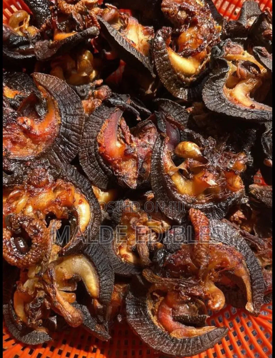 Oven Dried Jumbo Size Snail