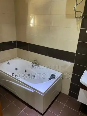 Furnished 3bdrm Duplex in Asokoro for rent