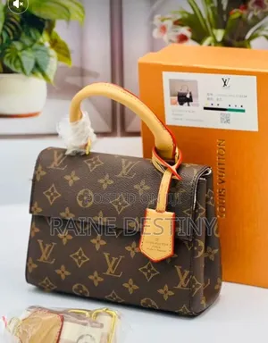Fully Boxed Louis Vuitton Bag