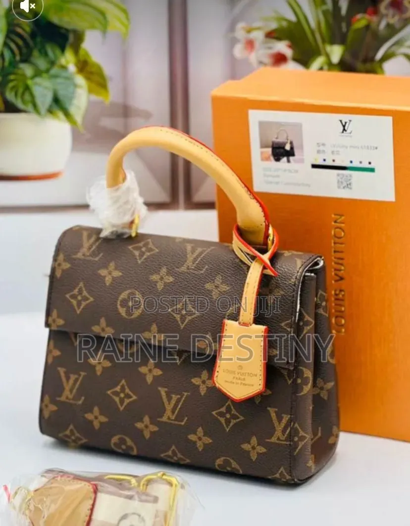 Fully Boxed Louis Vuitton Bag
