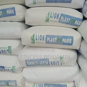 Iion Pop Cement