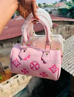 A Nice Louis Vuitton Bag Comes With Chain and Longer Straps