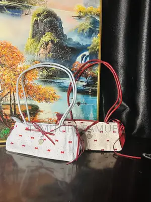 A Nice Hand Bag for My Girlies