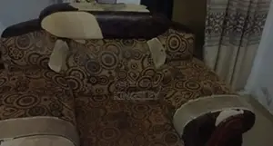 Set of Sofa Chairs
