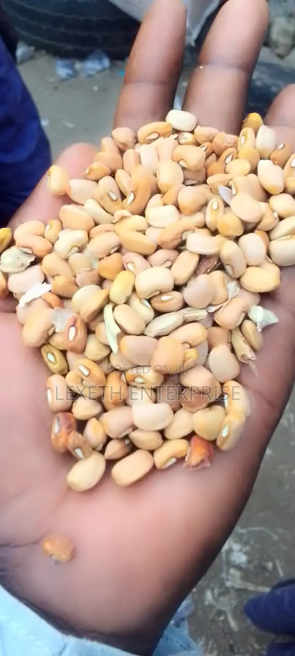 Beans Oloyin and White