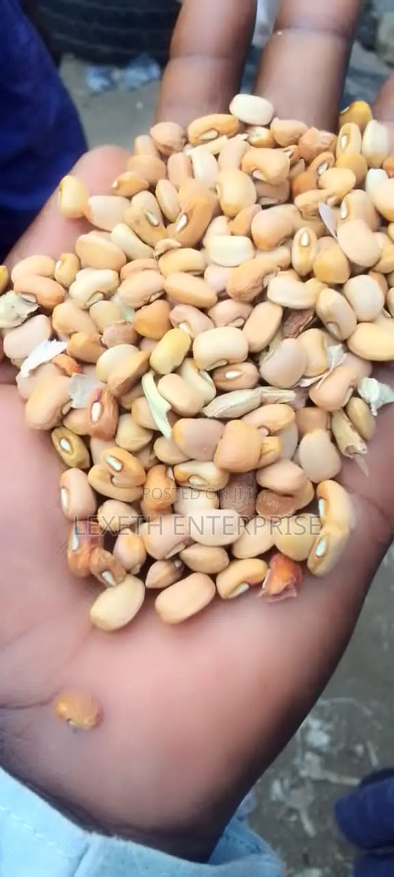 Beans Oloyin and White