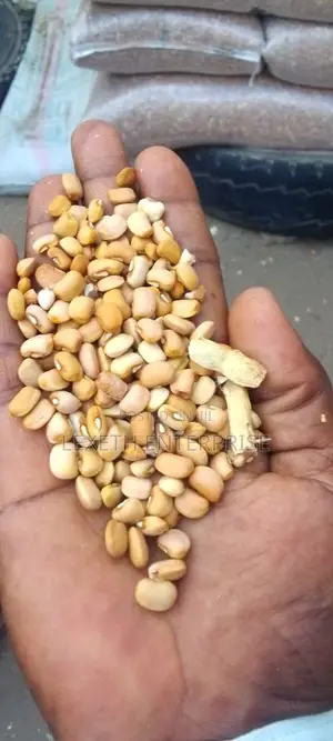 Beans Oloyin and White