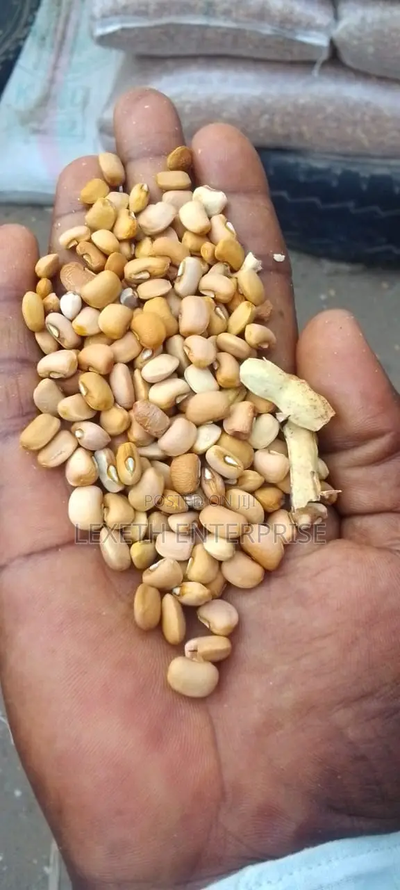Beans Oloyin and White