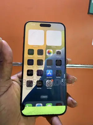 Apple iPhone 15 Pro Max 256 GB Gray
