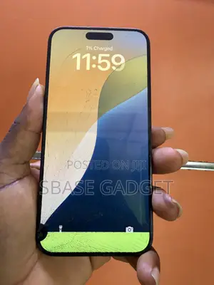 Apple iPhone 15 Pro Max 256 GB Gray