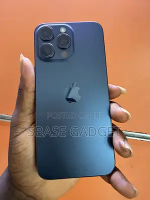 Apple iPhone 15 Pro Max 256 GB Gray