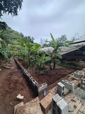 Snail Farm Construction Free Range
